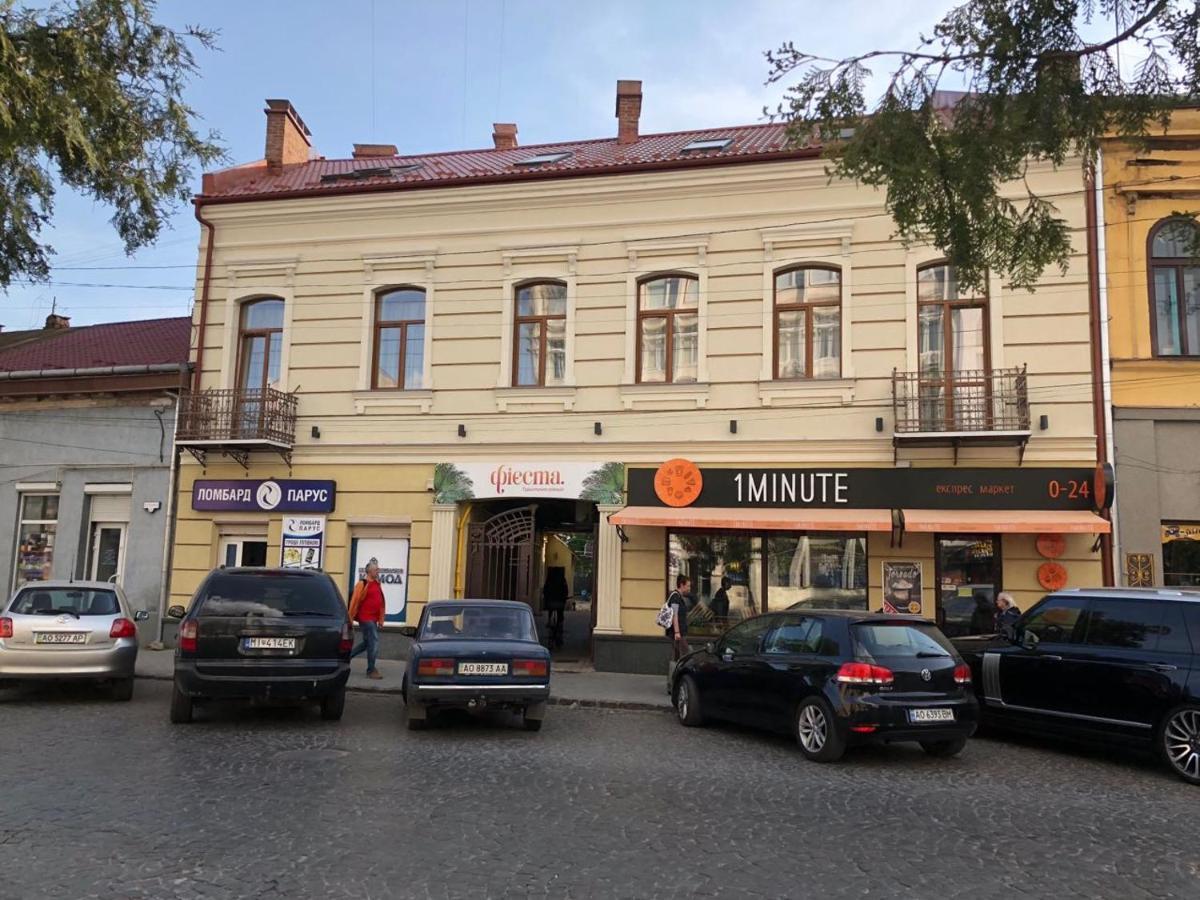 Wonderful Flat On Center * Uzhhorod
